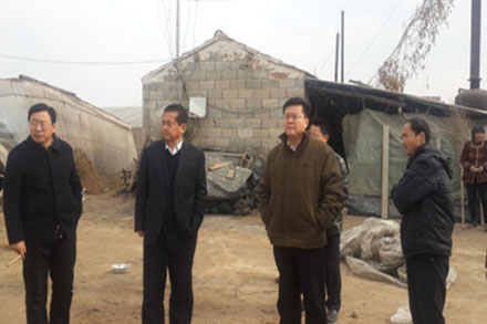 伟德体育官网 - 综合体育赛事平台|奥体中心相助同伴