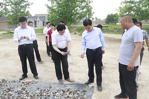 伟德体育官网 - 综合体育赛事平台|奥体中心相助同伴