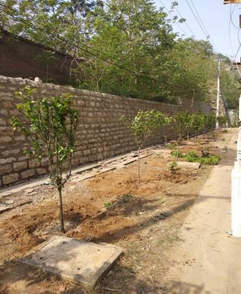 伟德体育官网 - 综合体育赛事平台|奥体中心相助同伴