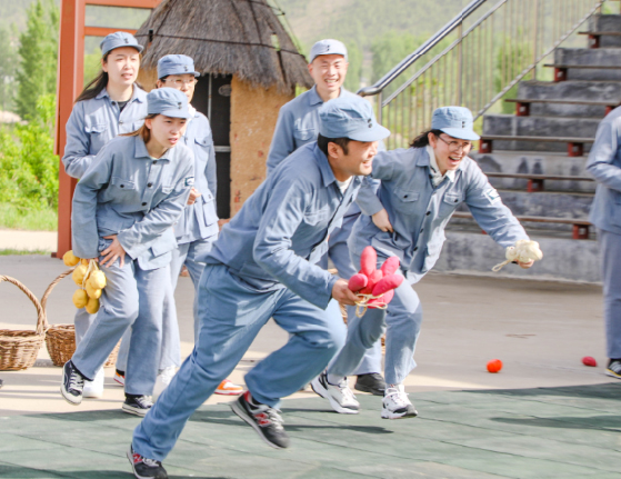 伟德体育官网 - 综合体育赛事平台|奥体中心相助同伴